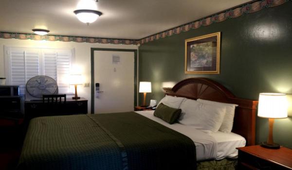 Holland Inn & Suites - image 4