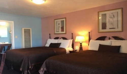 Holland Inn & Suites - image 5