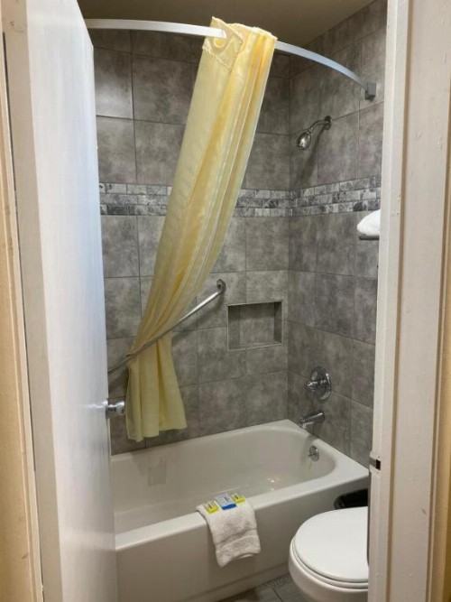 Holland Inn & Suites - image 7