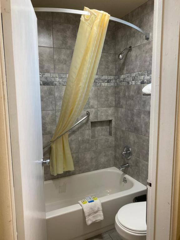 Holland Inn & Suites - image 7
