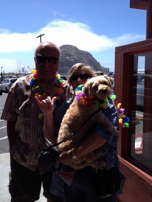 Bayfront Inn - image 10