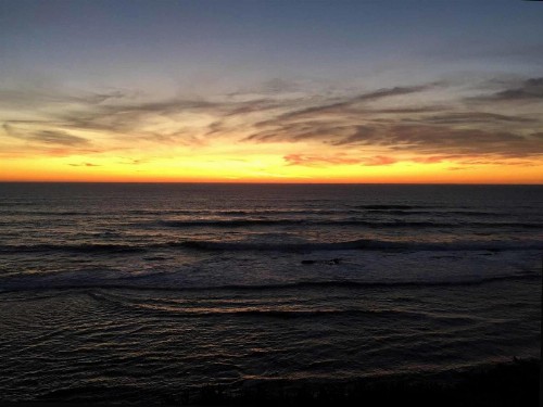 Seal Cove Inn - image 23