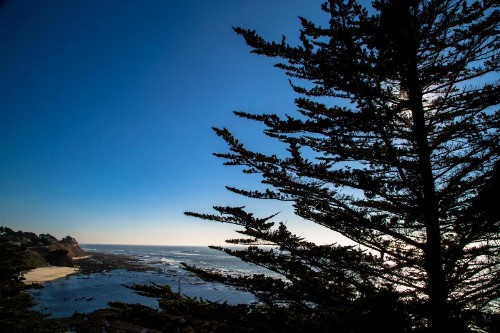 Seal Cove Inn - image 30