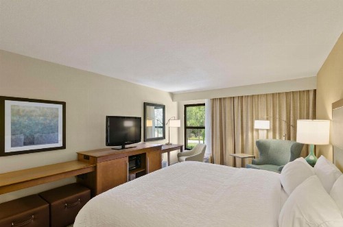 Hampton Inn Mount Dora - image 3