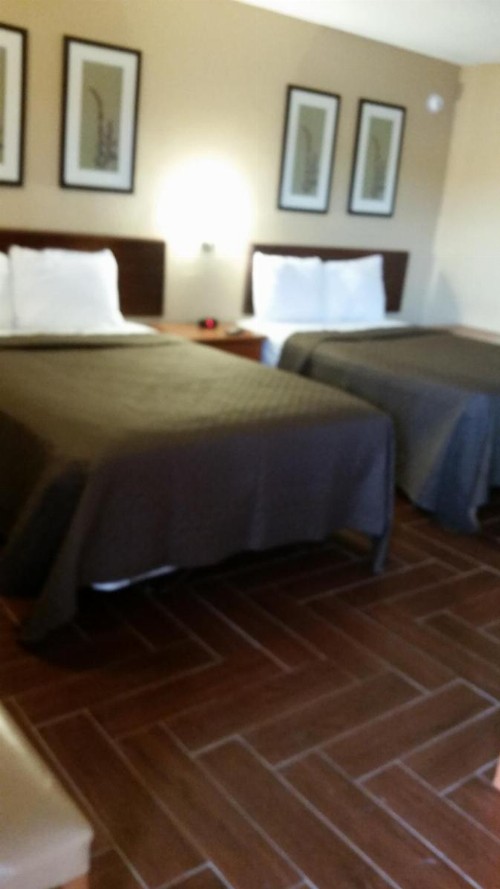 Budget Lodge Mount Dora - image 15