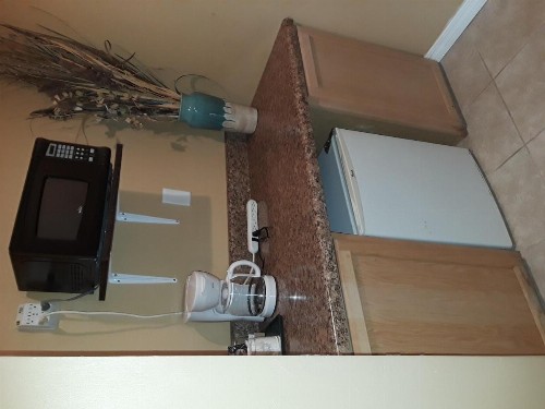 Budget Lodge Mount Dora - image 7