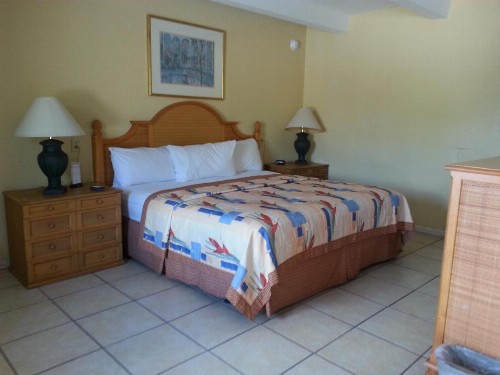Budget Lodge Mount Dora - image 8