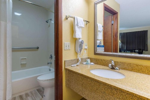 Quality Inn & Suites Mt Dora North - image 11