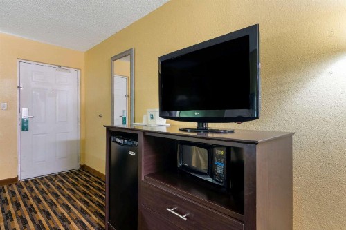 Quality Inn & Suites Mt Dora North - image 13
