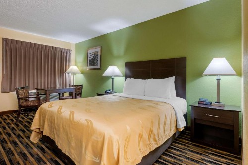 Quality Inn & Suites Mt Dora North - image 9