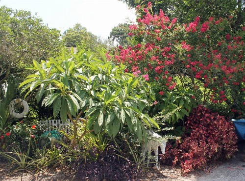Heron Cay Lakeview Bed & Breakfast - image 37