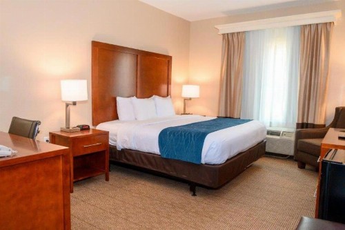 Comfort Inn & Suites Patriots Point - image 18