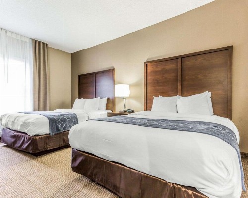 Comfort Suites at Isle of Palms Connector - image 34