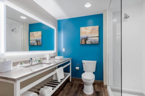 Cambria Hotel Mount Pleasant - Charleston - image 34