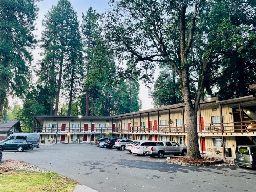 Shasta Inn - image 15