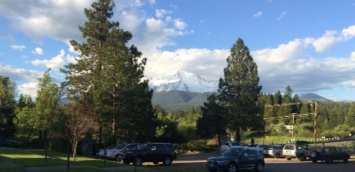 Mount Shasta Ranch Bed and Breakfast - image 19