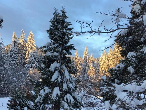 Mount Shasta Ranch Bed and Breakfast - image 41