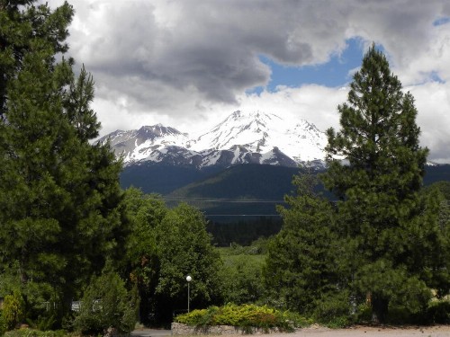 Mount Shasta Ranch Bed and Breakfast - image 44