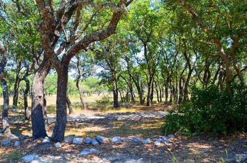 Cowboys and Angels Retreat - image 2