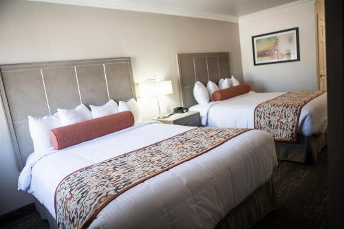 Americas Best Value Inn - Mountain View - image 4