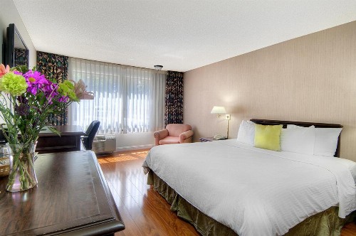 County Inn - image 34