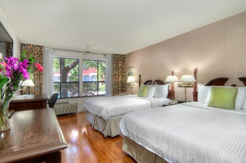 County Inn - image 42