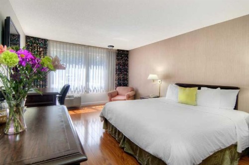 County Inn - image 47