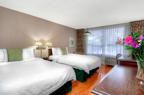 County Inn - image 50