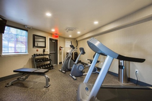 Holiday Inn Express Mountain View South Palo Alto an IHG Hotel - image 4