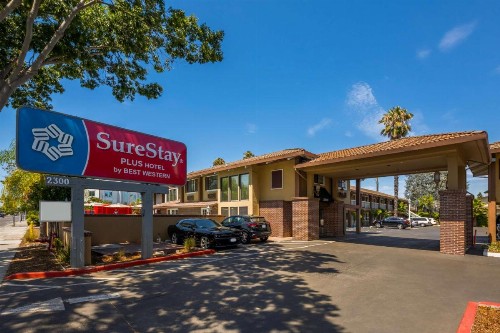 SureStay Plus Hotel by Best Western Mountain View - image 7