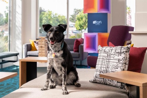 Aloft Mountain View - image 7
