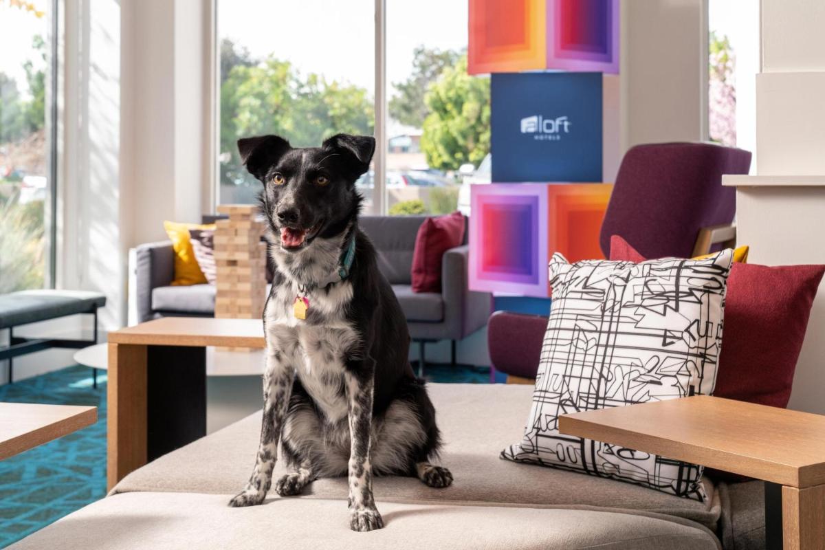 Aloft Mountain View - image 7
