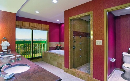 Embassy Suites Murfreesboro - Hotel & Conference Center - image 30