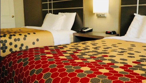 Econo Lodge Inn & Suites Murfreesboro - image 3