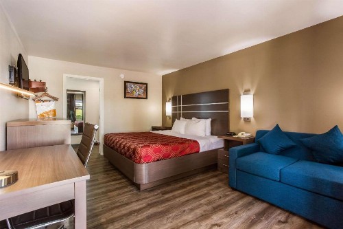 Econo Lodge Inn & Suites Murfreesboro - image 4