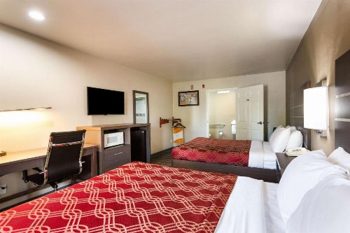 Econo Lodge Inn & Suites Murfreesboro - image 5