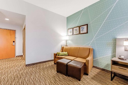 Comfort Suites Murfreesboro - image 49