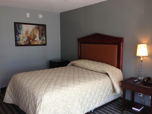 Safari Inn - Murfreesboro - image 2