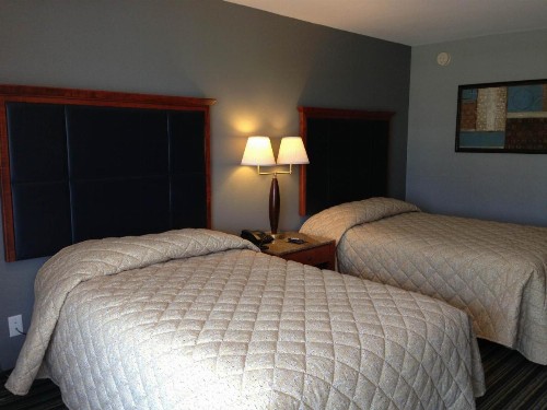 Safari Inn - Murfreesboro - image 4