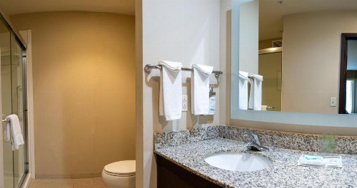 Holiday Inn Murfreesboro/Nashville an IHG Hotel - image 15