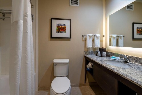 Holiday Inn Murfreesboro/Nashville an IHG Hotel - image 38