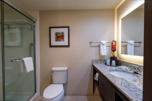 Holiday Inn Murfreesboro/Nashville an IHG Hotel - image 49