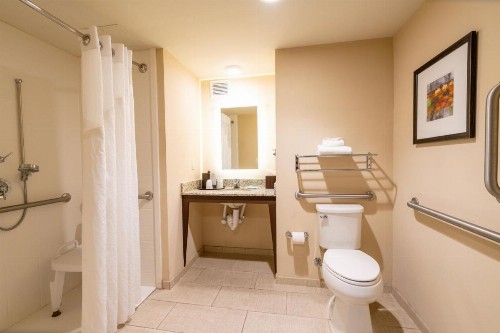 Holiday Inn Murfreesboro/Nashville an IHG Hotel - image 50