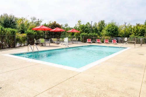 Holiday Inn Murfreesboro/Nashville an IHG Hotel - image 8