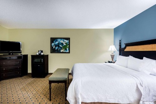 Hampton Inn Murrells Inlet/Myrtle Beach Area - image 10