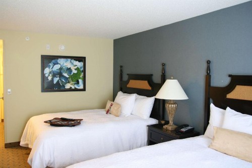 Hampton Inn Murrells Inlet/Myrtle Beach Area - image 4