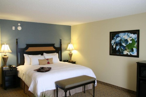 Hampton Inn Murrells Inlet/Myrtle Beach Area - image 7