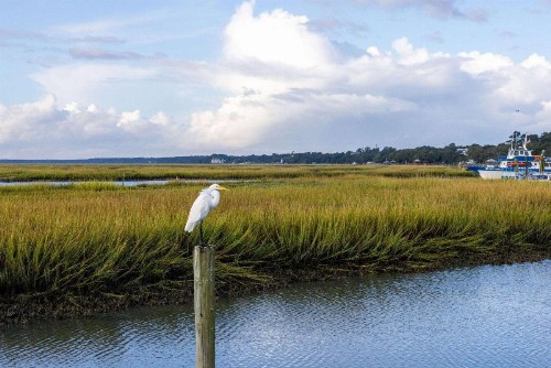 Sea Mystique Murrells Inlet a Ramada by Wyndham - image 23