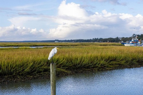 Sea Mystique Murrells Inlet a Ramada by Wyndham - image 34