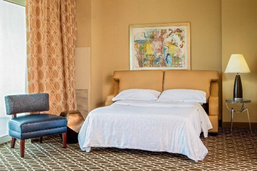 Sheraton Myrtle Beach - image 22